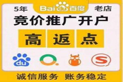 成功案例：SEM推广助力企业拓展海外市场